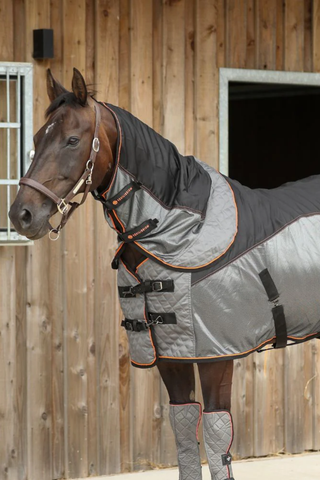 Equilibrium Therapy Magnetic Rug