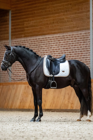 Equestrian Stockholm Dressage Saddle Pad Modern White Sand