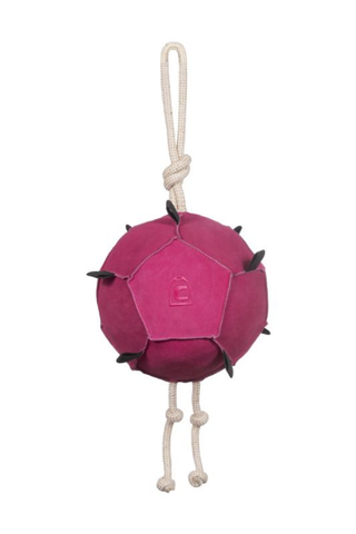 Cavallo CavalToni Hanging Horse Toy