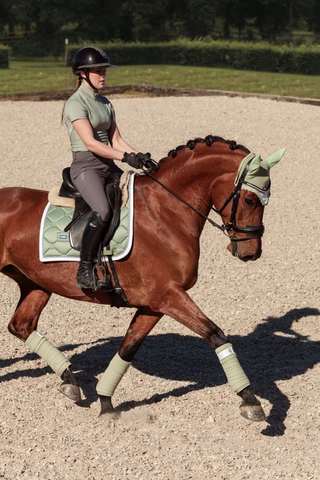 Equestrian Stockholm Dressage Saddle Pad Pistachio White