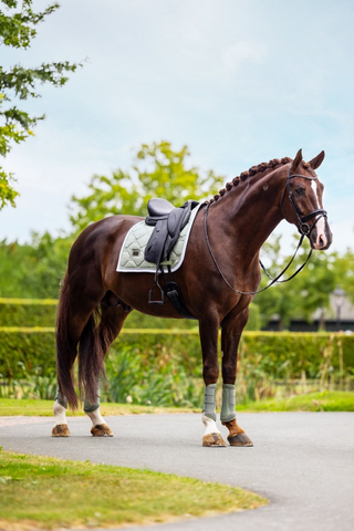 Equestrian Stockholm Dressage Saddle Pad Pistachio White