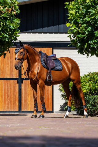 Equestrian Stockholm Jump Saddle Pad Line Black