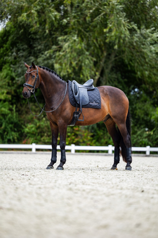 Equestrian Stockholm Dressage Saddle Pad Line Black