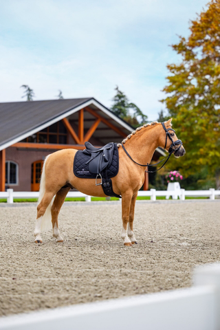 Equestrian Stockholm Dressage Saddle Pad Line Black