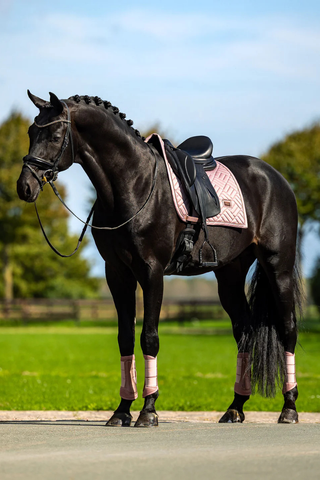 Equestrian Stockholm Dressage Saddle Pad Modern Midsummer Blush