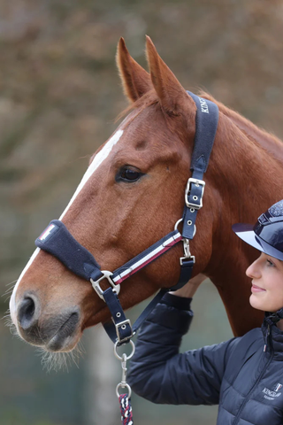 Kingsland Classic Halter with Fleece