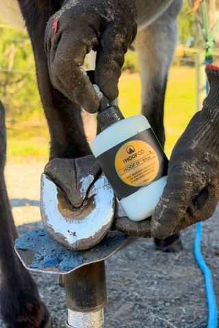 The Hoof Co Hoof IX Squeezable Hoof Liquid