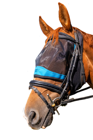 Woof Wear Ride On Flymask