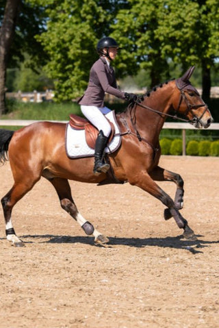Equestrian Stockholm Jump-AP Saddle Pad Modern White-Moonless Night
