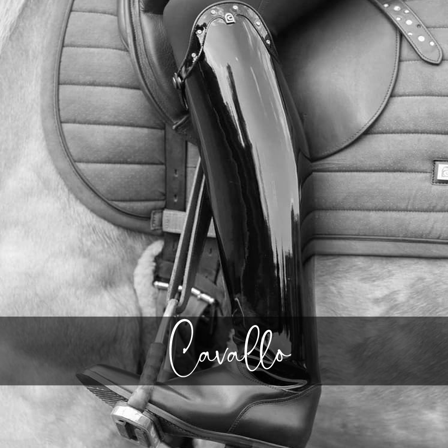 Horse in the Box Equestrian Clothing & Horse Riding Supplies