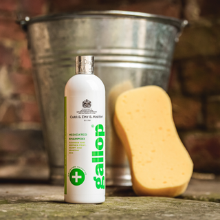 Carr Day and Martin Gallop Clean & Clear Shampoo