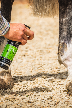 Carr Day and Martin Stain Master Spray