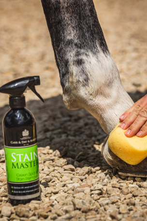 Carr Day and Martin Stain Master Spray