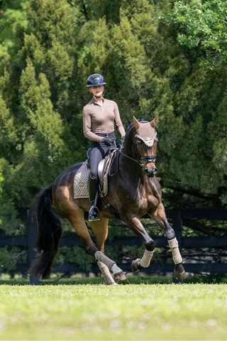 Equestrian Stockholm Dressage Saddle Pad Modern Champagne