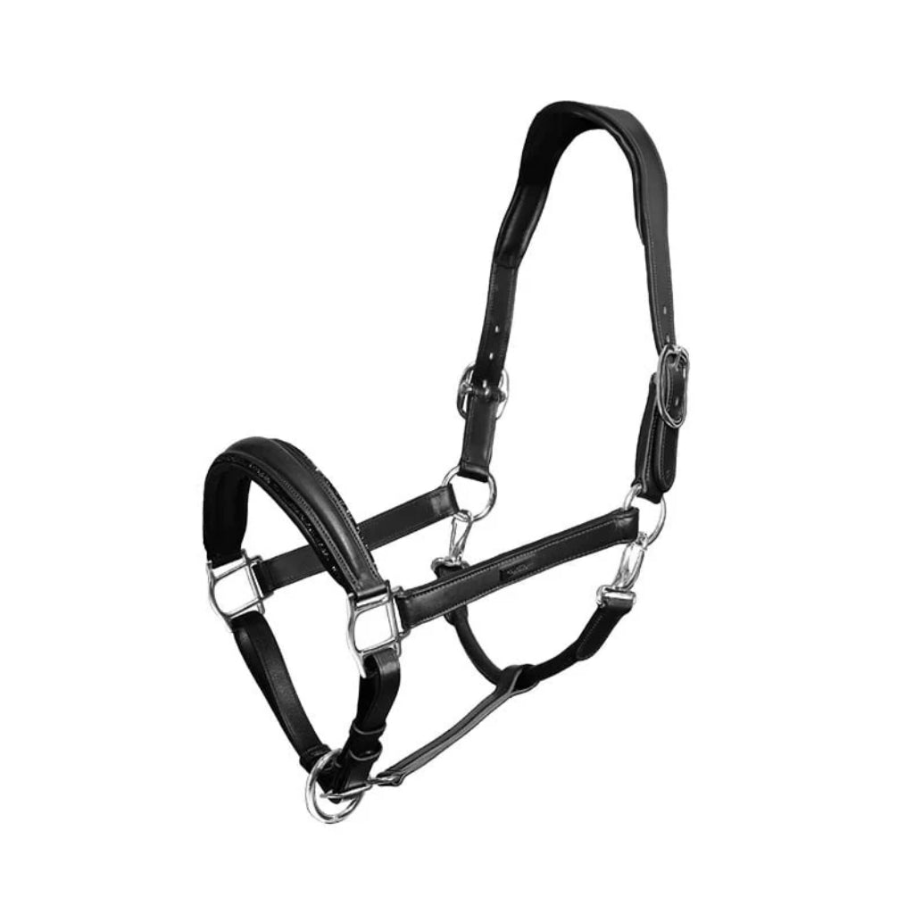 Halter équestre Stockholm Avec Chaîne - Bleu Marine Et Argent - Taille Cheval Complet - Neuf