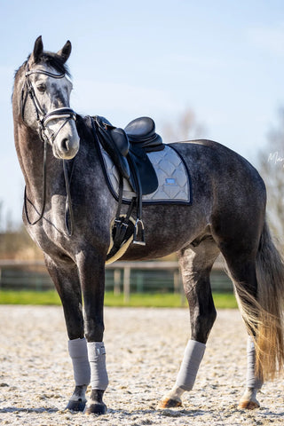 Equestrian Stockholm Dressage Saddle Pad Crystal Grey COB