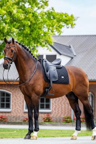 Equestrian Stockholm Dressage Saddle Pad Modern Mesh Black
