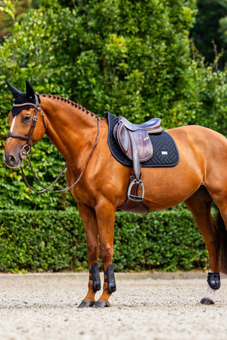 Equestrian Stockholm Jump Saddle Pad Modern Mesh Black