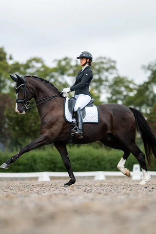 Equestrian Stockholm Dressage Saddle Pad Modern White Black Edition