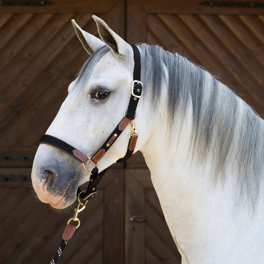 FairPlay Ferrara Halter