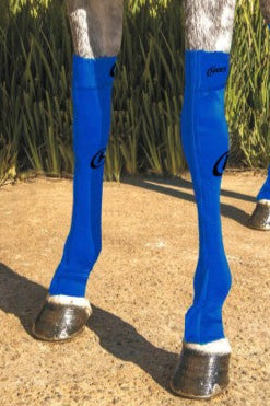 Hidez Compression Socks FRONT Blue
