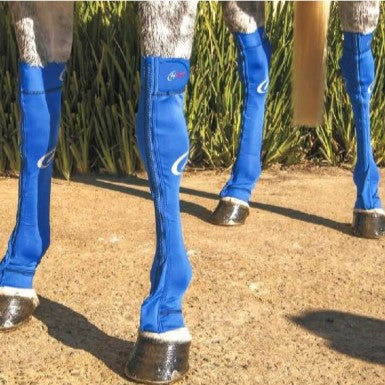 Hidez Compression Socks FRONT Blue