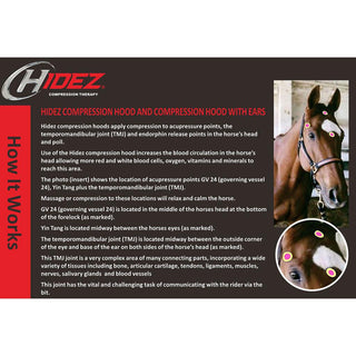Hidez Compression Hood with Zipper and Ears NAVY