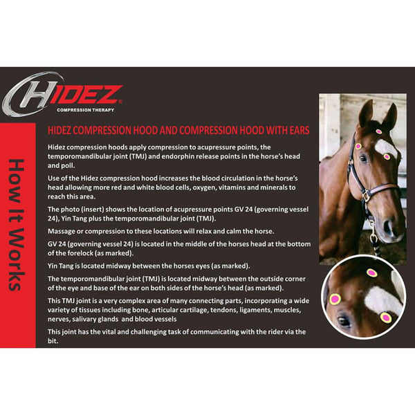 Hidez Hood AZTEC VEGAS main image 1