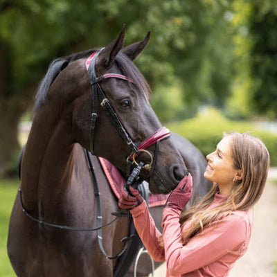 Horze Physical Sophistication Bridle