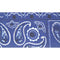 NAVY PAISLEY