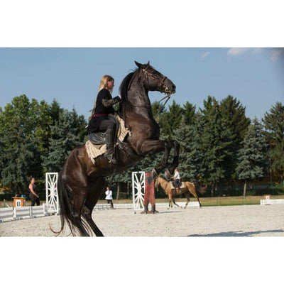 Traditional Hungarian All Around Saddle