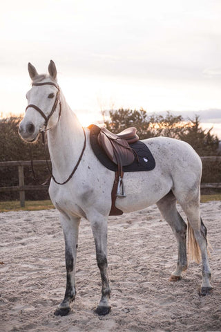Samshield Spineshield Embroidery Jump Saddle Pad