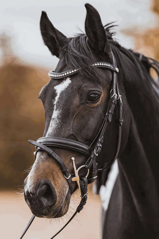 Sprenger Dynamic RS Full Cheek Double Jointed Snaffle Bit