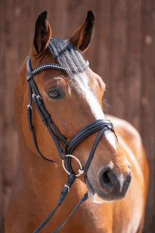 Sprenger NovoContact Loose Ring Single Jointed Snaffle Bit