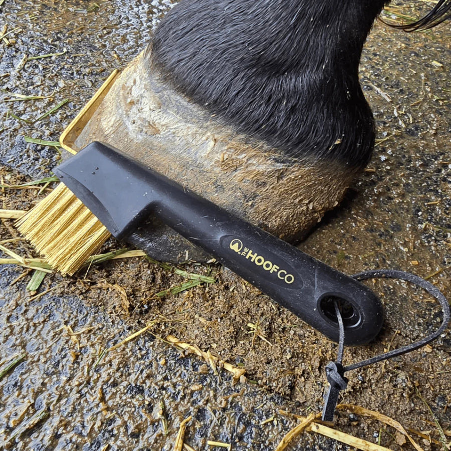 Hoofco Hoof Pick Golden Wire