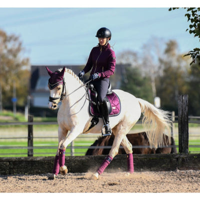 Equestrian Stockholm Dressage Saddle Pad Purple Gold COB