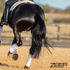 Zeep Equine Sunglow Detangler and Shine 1L