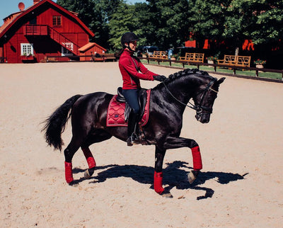 Equestrian Stockholm Dressage Saddle Pad Bordeaux