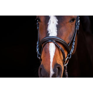 Horze Athena Bridle