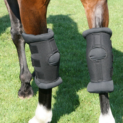 Back on Track Royal Padded Hock Boots