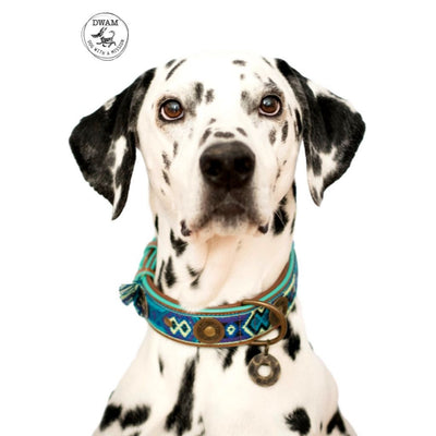 Dog with a Mission Boho Juan Fringed Dog Collar BLUE