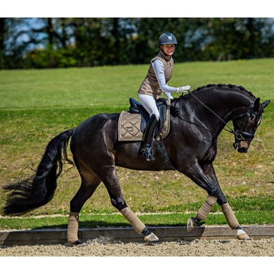 Equestrian Stockholm Dressage Saddle Pad Champagne