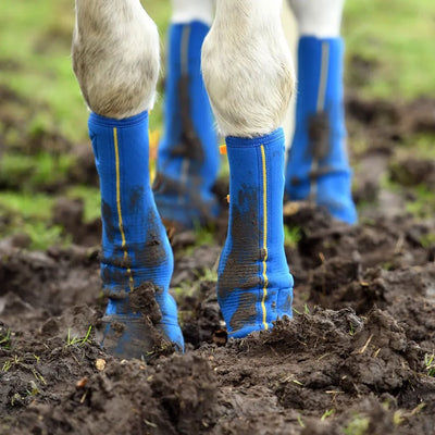 Equilibrium Equi Chaps Close Contact Wraps PAIR