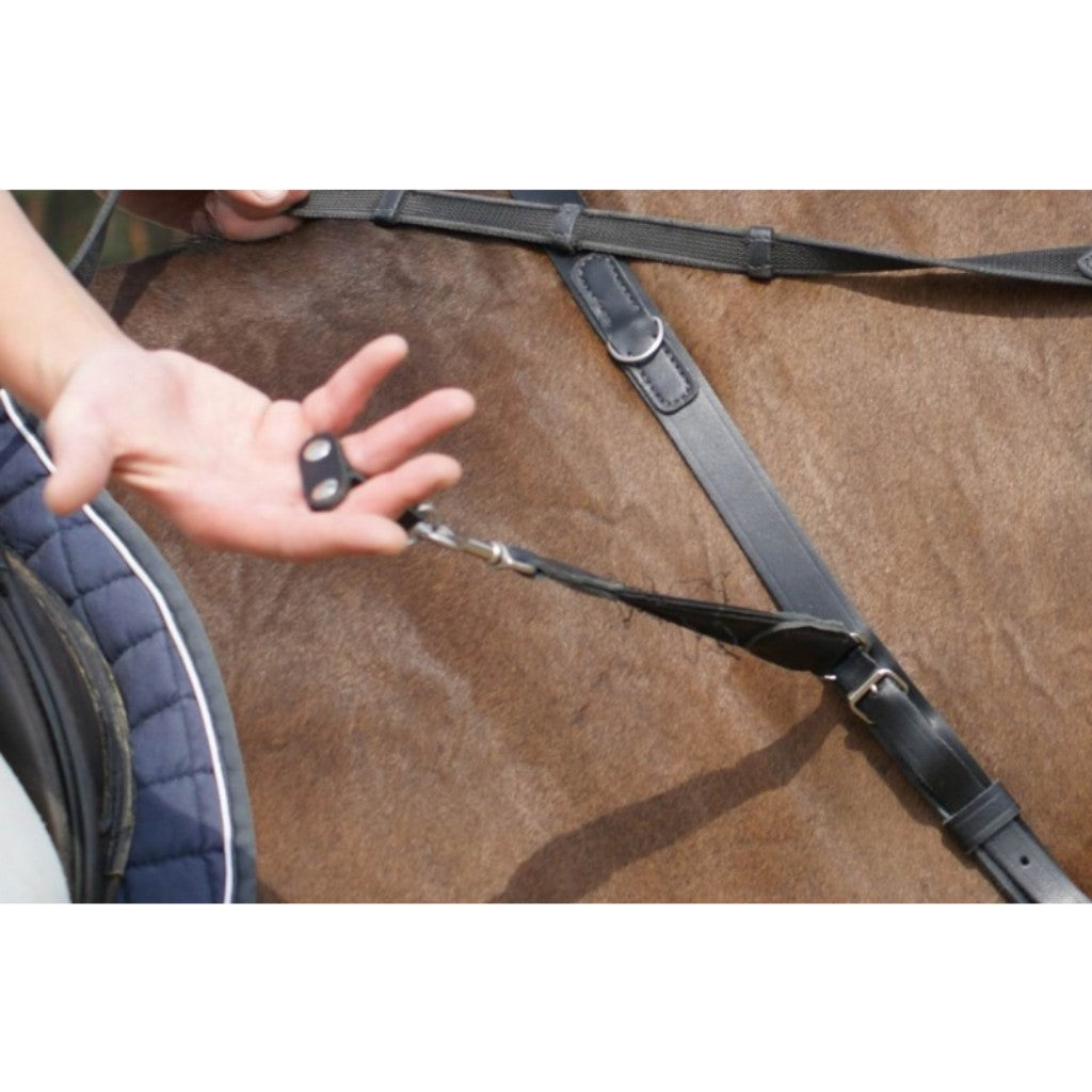 Collier training deals collar