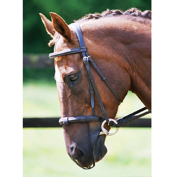 Muzzle net store