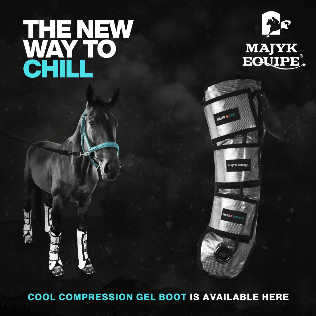 Cooling boots 2025 for horses