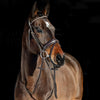 Horze Lester Bridle with Rein