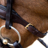 Horze Lester Bridle with Rein