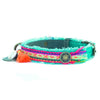 Dog with a Mission Lola Canvas Collar with Rainbow Trim