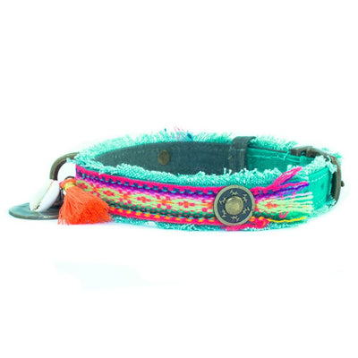 Dog with a Mission Lola Canvas Collar with Rainbow Trim